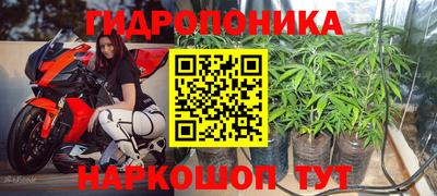 стафф Краснознаменск