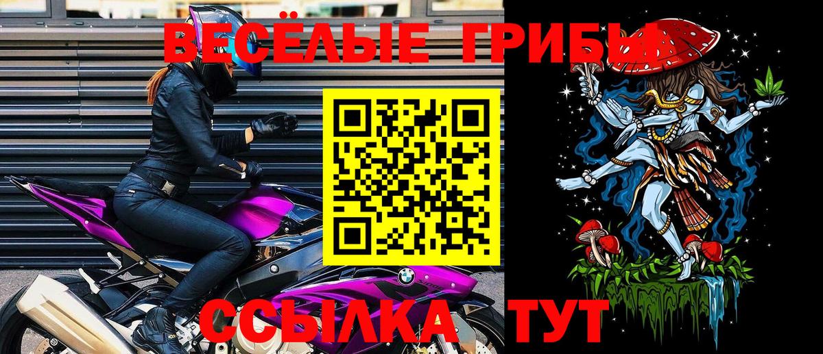 Галлюциногенные грибы Magic Shrooms  Псилоцибиновые грибы Psilocybe  Зерноград  купить наркоту  Вход с VPN 